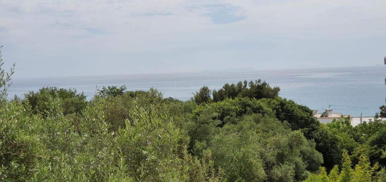 Seaview Apartment Borsh Esterno foto